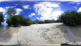 Aruba Mangel Halto - Aruba 360