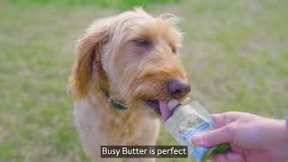 Spotlights at Walmart: Pet Naturals Busy Butter