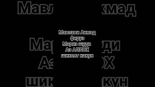 мавлави Ахмад фируз #рекомендации