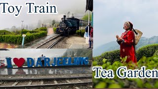 Darjeeling Holiday Tour | Darjeeling Ropeway & Toy Train |Tea Garden | Rock Garden | Darjeeling Zoo