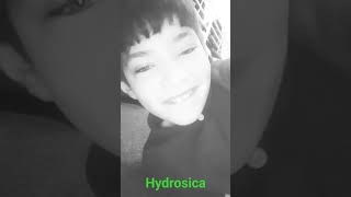 hydrodlsica