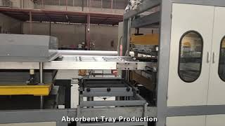 PS foam thermocol absorbent tray plate making machine,contact Amy :+8613573511028