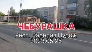 ЧЕБУРАШКА