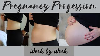 WEEK BY WEEK PREGNANCY TRANSFORMATION || PREGNANT BELLY WEEK BY WEEK 8-40 || MELISSA MARIE