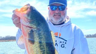 My TOP 5 SPRING BASS BAITS  - SHOP TALK!