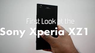 Sony Xperia XZ1 Hands-on