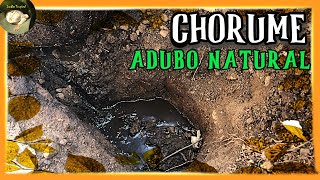 ADUBO ORGÂNICO DE QUALIDADE: CHORUME