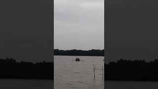 படகு கடல் பயணம், சிதம்பரம், பிச்சாவரம் மாங்ரோஸ் காடுகள்... ⛵🌊🌏