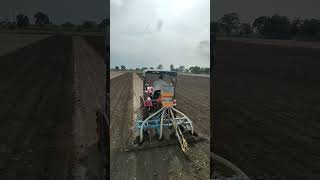 peanut farming #murlidharfarming #shorts