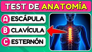 ¿Cuánto Sabes de "ANATOMÍA"? 🫀🫁🧠| TEST SOBRE EL CUERPO HUMANO| Trivial/Quiz