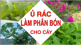 #9 Tái chế thùng sơn thành dụng cụ ủ rác nhà bếp làm phân bón cho cây trồng trên sân thượng