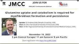 Dr A Gibb - Glutamine uptake and catabolism is required for myofibroblast formation and persistence