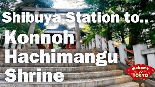 Quick Direction to the Biggest Temple in Shibuya(Konnoh Hachimangu Shrine) from Shibuya Station