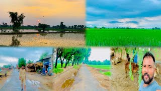 Mausam Bohat Kharab he||Most Beautiful Village Life in Punjab||Beautiful Views After Rain