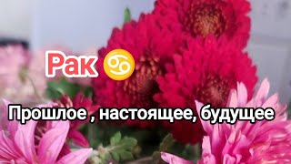 Рак ♋ прошлое ,настоящие , будущее