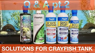 BEST SOLUTIONS FOR CRAYFISH TANKS (Q & A pt.2)