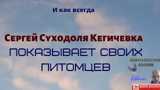 И как всегда Сергей Суходоля Кегичевка показывает своих питомцев