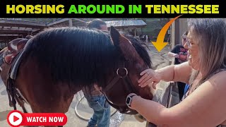 😎 Horsing around in Tennessee!!! #rvlife #vlog #horse #horselover❤️❤️