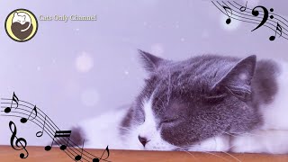 Cat Music - Peaceful Harp Music to Relax and Lull Your Cat to Sleep