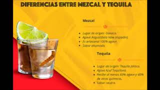 Cual es la diferencia entre el tequila y mezcal