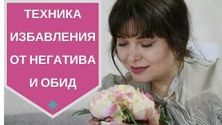 Техника как избавиться от обид - [Светлана Нагородная]