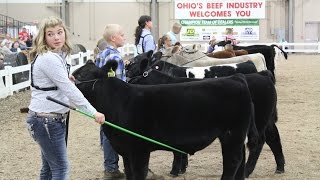 Scenes from Ohio State Fair Aug. 7