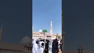 mere nabi pyare nabi #naat #madinasharif #shorts #status #youtubeshorts