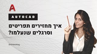 אוטוקד | איך להחזיר תפריט או סרגל שנעלם לנו | Menubar | Command Line | Viewport | Properties