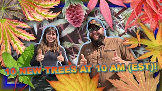 The Pleasan-Trees on the 10@10 for October 1st w/ Matt and Kate!