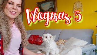 Vlogmas 5🤩 părerea lui Andrei despre Moș Nicolae...2 rețete