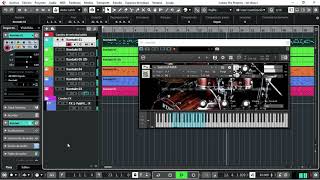 bateria TAMA para kontakt