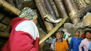 सो रहे परिवार के सर पर मंडरा रहा था जहरीला खतरनाक सांप देख फिर क्या हुआ।Cobra hidden in roof of 🏠