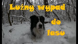 Wykopki co pod cewką prócz śniegu