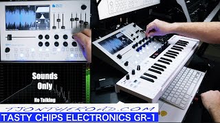 Tasty Chips Electronics GR-1 Sounds Only