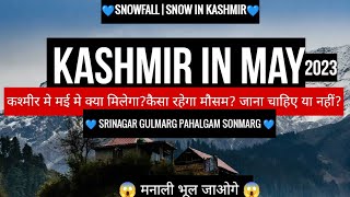 Kashmir in may | Snowfall / Snow in Kashmir | Hotel | Budget | Gulmarg Kashmir