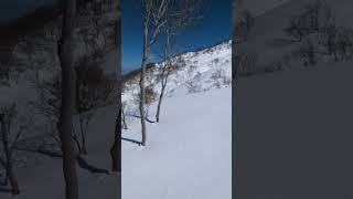 March 6, 2023 Забудьте о своих заботах Air Tranquillity Solemnity Birdsong Backcountry skiing