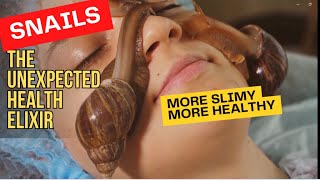 Slippery Superfood: 11 Amazing Reasons to Eat Snails