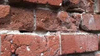 Lime Mortar Repointing: The Basic Techniques for Restoring Historic Brick Homes