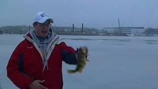 Jumbo Perch Ice Fishing