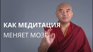 Как медитация меняет мозг — Йонге Мингьюр Ринпоче