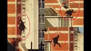 'Free runners' use tower block scaffolding 'as training' for dangerous hobby