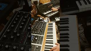 Moog one and vintage korg ms20 together