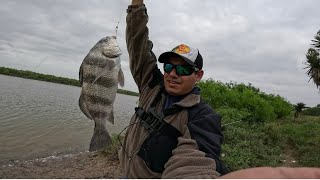 DE NUEVO EN EL SPOT ARROYO CITY FISHING 2024