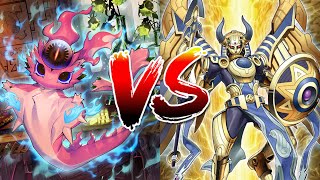 Yugioh Kashtira Snake Eyes vs Horus Snake Eyes Round 3 Local Feature Match 5-19-2024