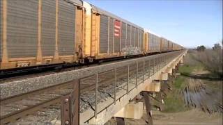 Union Pacific Auto Train and Amtrak Capitol Corridor near Davis, CA