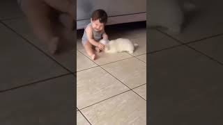 Most cute baby with Pappy video, cute baby and cute Pappy dog, #puppy baby and dog