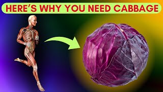 The Surprising Truth About Purple Cabbage Nobody Tells You