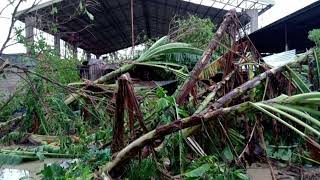 NAG DECLARE NA NG STATE OF CALAMITY ANG GOV'T  NG CEBU  YAN NAPO MISMO YUNG BARANGAY NAMIN PISTA PA