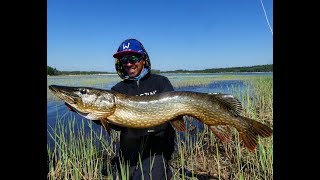 Pike Fishing Baltic Sea