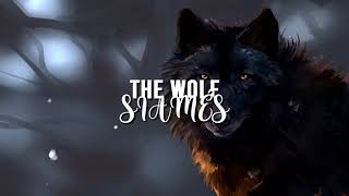 SIAMÉS - The Wolf [Slowed]